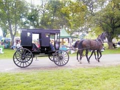 The 9th annual Black Buggy Day is a fun day for the whole family.