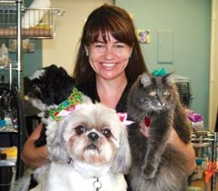 Beth Holmes with her Oreo, Tabby and Stormy.