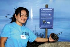 Aqua Agent volunteer Emma Suppes poses with a horseshoe crab.