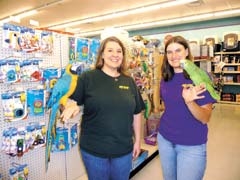 Pet Stop owner Sara Wilson with Diego, a blue and gold macaw, and employee Langi Forringer with CoCo, a Blue-front Amazon parrot.