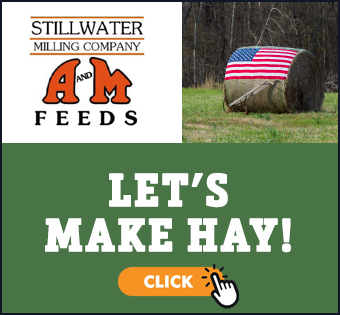 Image of Stillwater Milling Advertisement