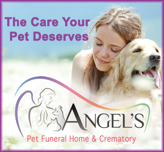Image of Angel's Pet Funerals Advertisement