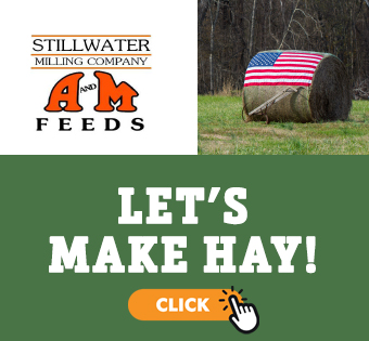 Image of Stillwater Milling Company, Let's Make Hay Ad