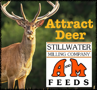 Image of Stillwater Milling Advertisement