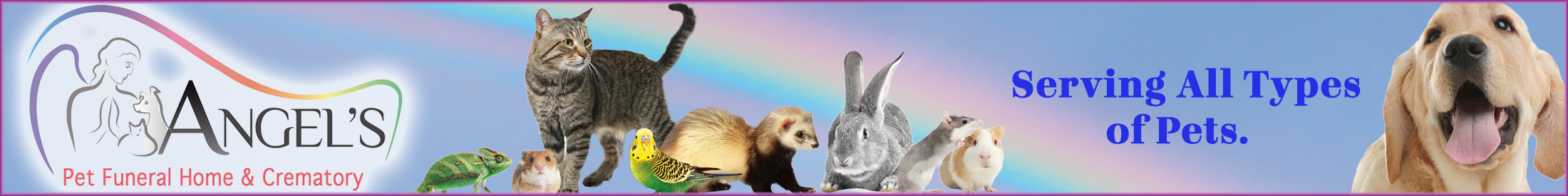 Image of Angel's Pet Funerals Advertisement