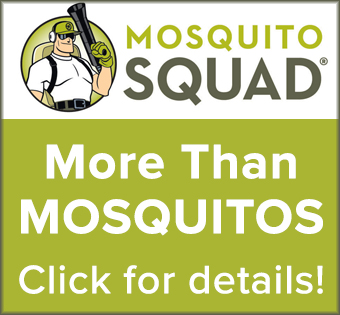Image of Mosquito Squad Advertisement