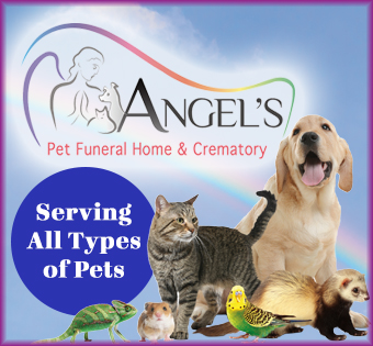 Image of Angel's Pet Funerals Advertisement