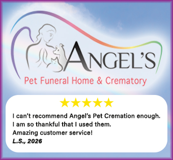 Image of Angel's Pet Funerals Advertisement